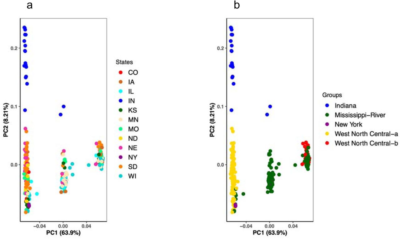 PCA for SNPs within 60-95 Mb region on chromosome 4 colored by a) states and b) ADMIXTURE groups