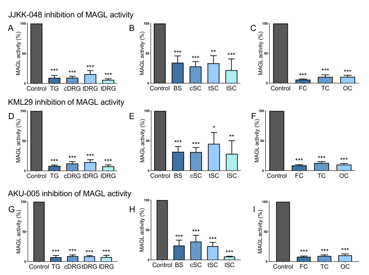 The blocking capacity of the MAGL inhibitors JJKK-048, KML29 and the dual MAGL-FAAH inhibitor AKU-005 in the CNS and the PNS. (A) JJKK-048 (100 nM) almost completely inhibited MAGL activity at peripheral level: by 90% in TG and cervical DRG (cDRG), 85% in thoracic DRG (tDRG) and 95% in lumbar DRG (lDRG). (B) JJKK-048 (100 nM) inhibited MAGL activity by 66% in brainstem (BS), 72% in cervical spinal cord (cSC), 68% in thoracic spinal cord (tSC), 79% in lumbar spinal cord (lSC). (C) JJKK-048 (100 nM) inhibited MAGL activity by 95% in frontal cortex (FC) and 90% in temporal and occipital cortexes (TC and OC). (D) KML29 (1 μM) strongly reduced MAGL activity at peripheral level: 92% TG, 88% cDRG, 86% tDRG, 93% lDRG. (E) KML29 (1 μM) inhibitory effect on brainstem and cSC was 69%, in tSC 55% and 72% in lSC. (F) KML29 (1 μM) strongly reduced MAGL activity at cortical level: by 92% in FC, 88% in TC, 90% in OC. (G) AKU-005 (1 μM) reduced MAGL basal activity at peripheral level: 93% in TG, 91% in cDRG, 92% in tDRG and 93% in lDRG. (H) AKU-005 (1 μM) inhibited basal MAGL activity also in brainstem (77%) and spinal cord (70% cSC, 78% tSC, 95% lSC). (I) AKU-005 (1 μM) inhibitory effect on cortical MAGL activity was of 92% in FC, 91% in TC and 90% in OC. One-way ANOVA with Tukey’s multiple comparison post-hoc test was used for statistical analysis between the MAGL activities after control (DMSO) and inhibitor treatments, (* p < 0.05, ** p < 0.01, *** p < 0.001). For JJKK-048: n = 8 (TGs, DRGs), n = 11 (BS, cSC), n = 8 (tSC, lSC) and n = 9 (cortex); For KML29: n = 8 (TGs, DRGs), n = 11 (BS, cSC), n = 8 (tSC, lSC) and n = 9 (cortex); For AKU-005: n = 4 (TGs, DRGs, BS, tSC, lSC), n = 5 (cSC, cortex).