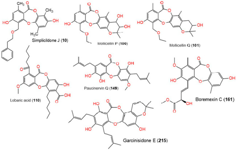 Chemical structure of depsidones with higher docking scores.