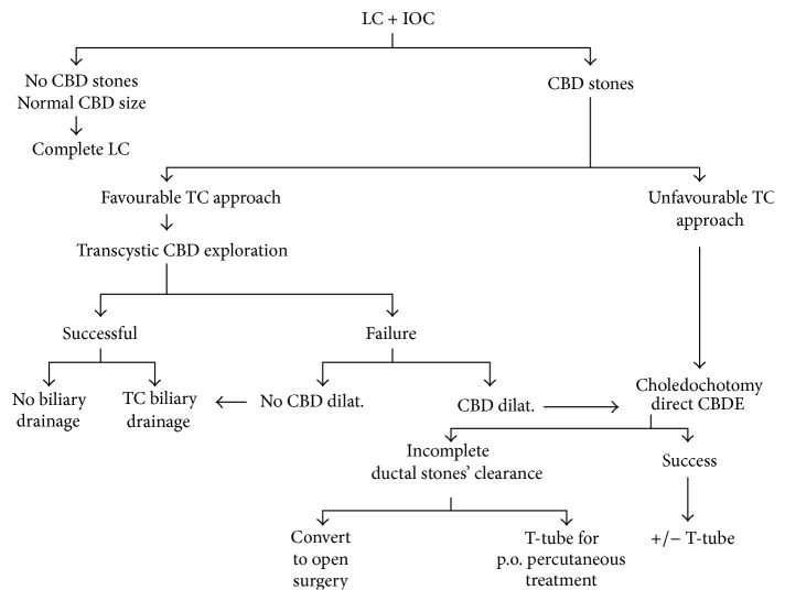 Treatment algorithm for patients undergoing laparoscopic cholecystectomy with intraoperative cholangiography. LC: laparoscopic cholecystectomy. IOC: intraoperative cholangiography.
