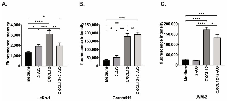 Chemotaxis of MCL cell lines. (A) JeKo-1, (B) Granta519, (C) JVM-2, cells were subjected to chemotaxis towards vehicle or 2-AG (100 nM), CXCL12 (200 ng/mL) or the combination of 2-AG and CXCL12; Paired t-test, ns: non-significant, * p < 0.05, ** p < 0.01, *** p < 0.001, **** p < 0.0001.