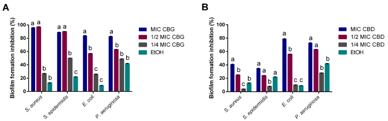 Biofilm formation inhibition percentage for CBG (A) and CBD (B) over Staphylococci, E. coli, and P. aeruginosa. Ethanol was used as a solvent control. Data are represented as mean ± SD for 2 independent assays encompassing 4 replicates. Letters mark statistically significant differences (p < 0.05) for each microorganism.
