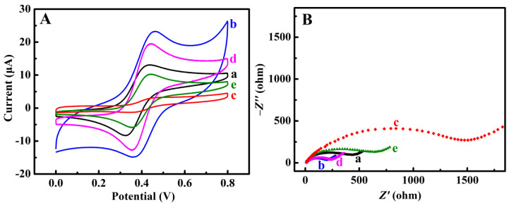 (A) CVs of 0.5 mM Fc(COOH)2 at 0.05 V s−1 in pH 7.0 PBS and (B) EIS responses of 5 mM Fe(CN)64−/3−at 0.17 V for (a) bare GCE, (b) AuNP-rGO/GCE, (c) MIP/AuNP-rGO/GCE, (d) CBD-free MIP/AuNP-rGO/GCE, and (e) CBD-rebinding MIP/AuNP-rGO/GCE after 5 μM CBD rebinding.
