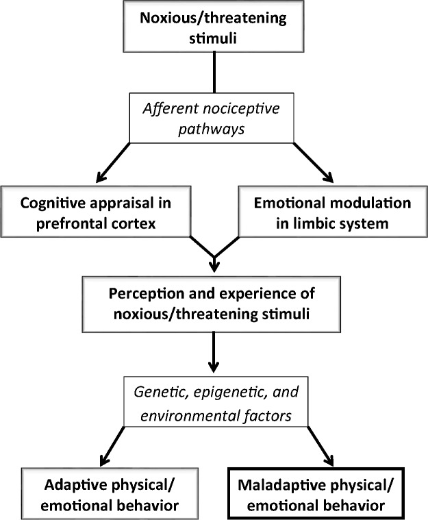 Selected factors that influence physical and emotional responses to chronic pain: the nature of the response to noxious/threatening stimuli is influenced by its severity and duration; by genetic, epigenetic, developmental, and environmental factors; and by the ability to reduce the effect of the stimuli through physical, emotional/spiritual, cognitive, and pharmacological mechanisms (Adapted from Feller et al., 2019).61