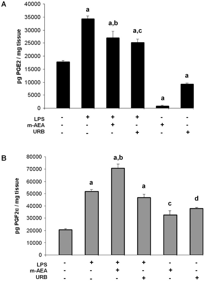 AEA mediates LPS-induced PG production.A) PGE2 production for uterine explants incubated with LPS (1 ug/ml), m-AEA (100 nM), URB597 (1 uM), LPS plus m-AEA (100 nM) or LPS plus URB597 (1 uM) for 24 h. ANOVA test. a, p<0.001 vs control; b, p<0.01 vs LPS; c, p<0.001 vs LPS. n = 7. B) PGF2α production for uterine explants incubated with LPS (1 ug/ml), m-AEA (100 nM), URB597 (1 uM), LPS plus m-AEA (100 nM) or LPS plus URB597 (1 uM) for 24 h. ANOVA test. a, p<0.001 vs control; b, p<0.01 vs LPS; c, p<0.05 vs control; d, p<0.01 vs control. n = 7.