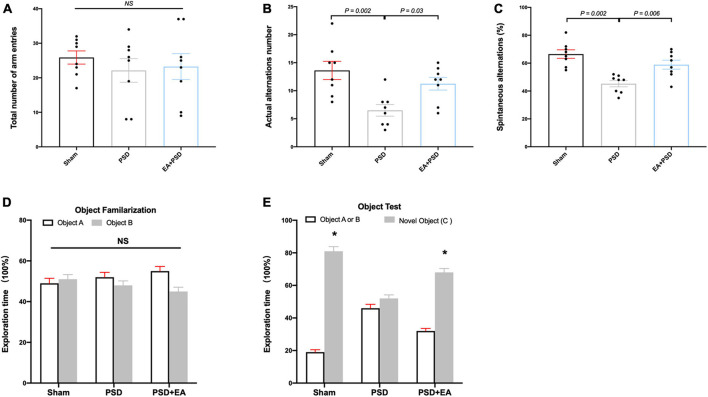 EA treatment improved the cognitive dysfunction which was produced by PSD. (A–C) PSD exposure produced a significant impairment of spatial working memory and spatial cognitive ability, which was restored by EA treatment. (D) Time of mice spent exploring two identical object A or object B in the phase of familiarization. (E) Time of mice spent exploring familiar object A or B and novel object C during the recognition period (n = 8, *P < 0.05 vs. familiar object A or B).