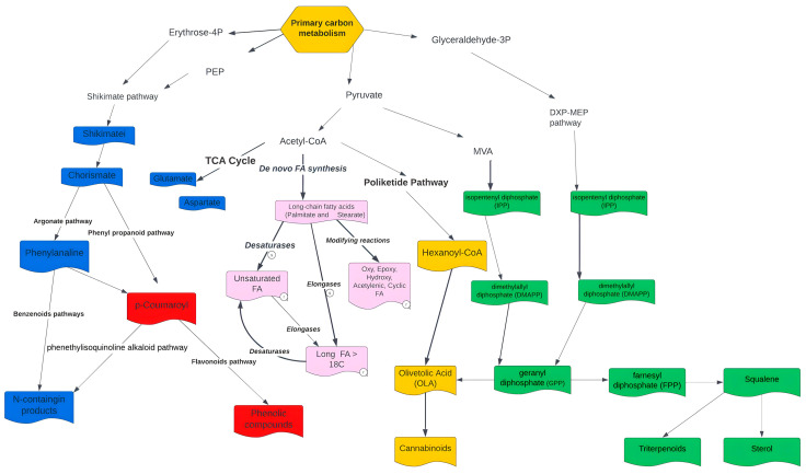 Secondary metabolism of C. sativa, classified by five major metabolite types: terpenes (green), fatty acids (pink), phenolic compounds (red), N-compounds (blue), and cannabinoids (yellow).