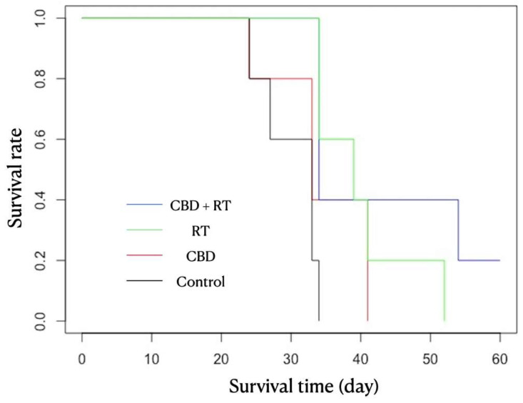 The Kaplan–Meier curves for different groups. Black—Control group; red—Cannabidiol (CBD) group; green—Radiation Therapy (RT) group; blue—CBD + RT group. Significant differences in survival time were found between the C and RT groups and between the C and CBD + RT groups (log-rank test; p = 0.009 and p = 0.01, respectively).