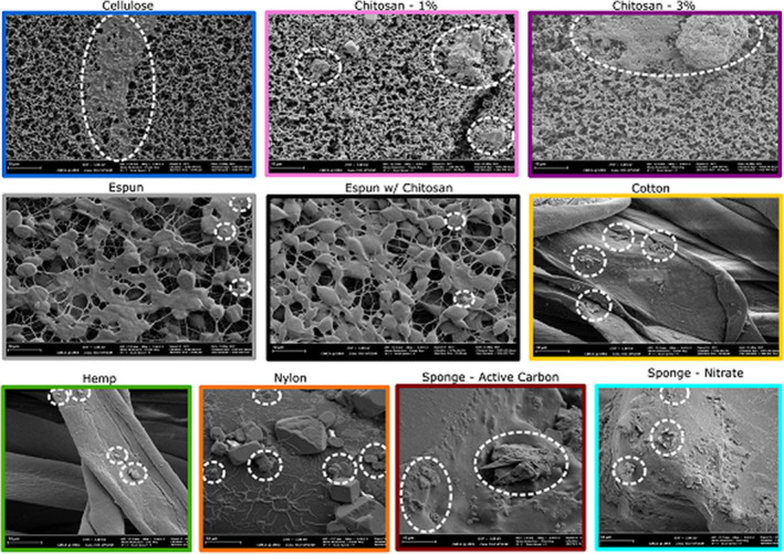 Scanning electron micrographs of materials at 5000× magnification after submersion in tank water where dashed circles identify biological matter. All scale bars are 10 μm