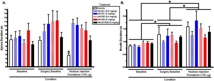 Apnea and breath durations quantified from acute 5-HT-induced apnea experiments.(A) Dronabinol (100 µg) injected into the nodose ganglia significantly attenuated apnea duration. Intraperitoneal injection of cannabinoid type 1 (AM2521), or cannabinoid type 2 (AM630), receptor antagonists, or both, reversed dronabinol’s apnea attenuation. *p<0.05 compared to surgery baseline recording, Tukey’s post hoc multiple comparison test. (B) Dronabinol injected into the nodose ganglia did not have any effect on breath duration. However, there was a significant (p<0.05, two-way repeated measures ANOVA) main effect of condition on breath duration; *p<0.05, Tukey’s post hoc multiple comparison test.