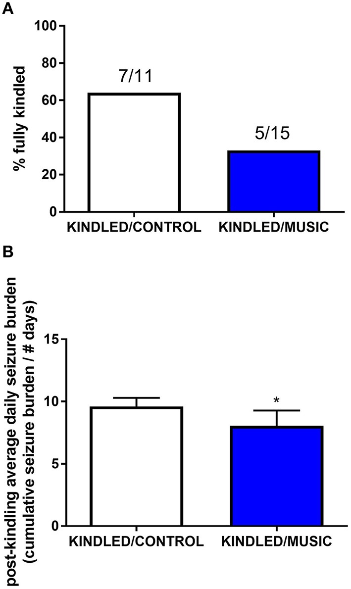 Antiseizure effects of music-based intervention in the corneal kindling model of epilepsy in CF-1 mice. (A)—The percentage of fully kindled animals, as well as the number of fully kindled animals (number reaching fully kindled status / N; e.g., 7/11 and 5/15 for CONTROL- (white) and MUSIC (blue)-treated groups, respectively), is shown for each treatment group. (B)—The cumulative seizure burden (sum of all Racine scores for each stimulation) for all animals following achievement of fully kindled status. Mice exposed to music showed a lower post-kindling seizure burden. *P < 0.05 compared to control kindled. Data were compared by a Fisher's exact test (A) or a t-test (B).