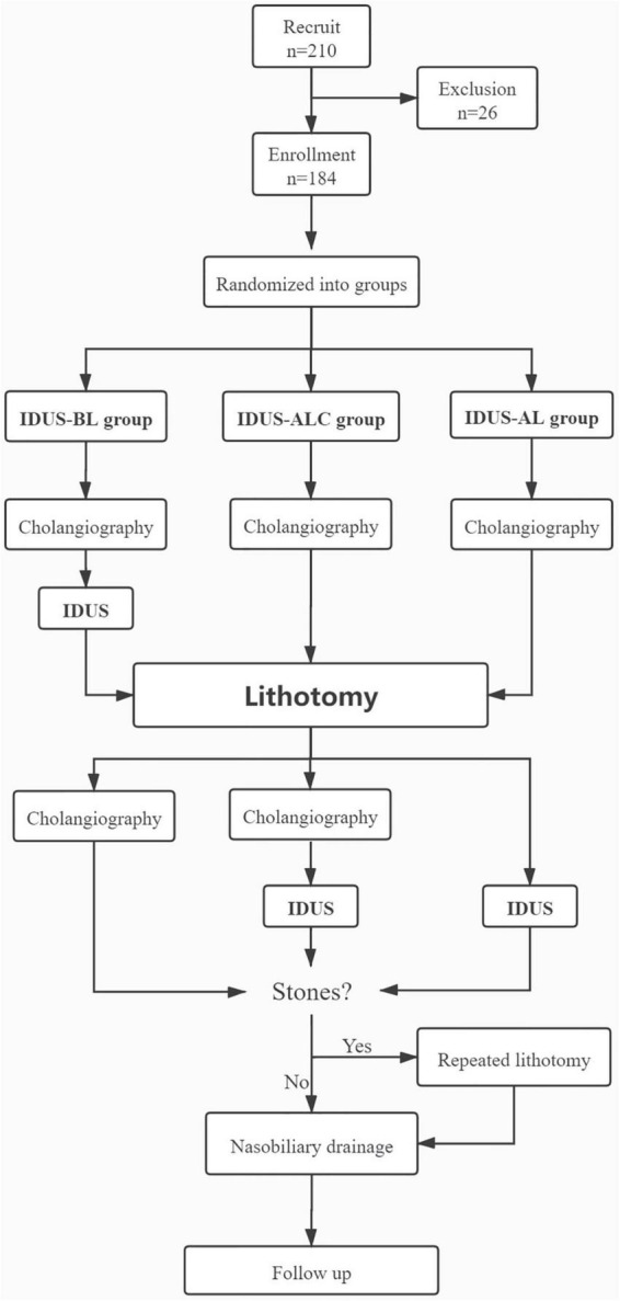 Consort flow diagram of patients undergoing ERCP and IDUS.