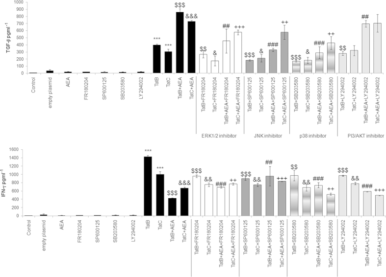 AEA affect cytokine generation on blockage of MAPK components. Transfection of Tat B or Tat C increased TGF-β production significantly compared to control cells. Addition of AEA to Tat B/C transfected cells significantly increased the production of TGF-β compared to Tat B/C transfection alone. Tat B/C + AEA cells were treated with pharmacological inhibitors for ERK1/2, JNK, p38 signalling; FR180204, SP600125, and SB203580, respectively. Addition of ERK, JNK, p38 inhibitors significantly down regulated the production of TGF-β compared to Tat B/C + AEA treated cells (a). IFN-γ was upregulated on transfection with Tat B/C compared to control cells. Addition of AEA to Tat B/C cells significantly reduced IFN-γ production compared to Tat B/C cells. Incubation of Tat B/C + AEA cells with MAPK blockers significantly increased IFN-γ, the exception being on addition of SB203580 (b). PI3/AKT inhibition affects production of IFN-γ but not of TGF-β in Tat C + AEA cells. Transfection of empty plasmid or AEA, inhibitors to the MAPK enzymes and pI3-AKT blocker alone do not increase production of TGF-β or IFN-γ (a, b). Results shown are the mean ± S.E (n = 3). ***p < 0.001 vs. Control. $$p < 0.01, $$$p < 0.001 vs Tat B. &p < 0.05, &&p < 0.01, &&&p < 0.001 vs Tat C. ##p < 0.01, ###p < 0.001 vs. Tat B + AEA. ++ p < 0.01, +++< 0.001 vs. Tat C + AEA.