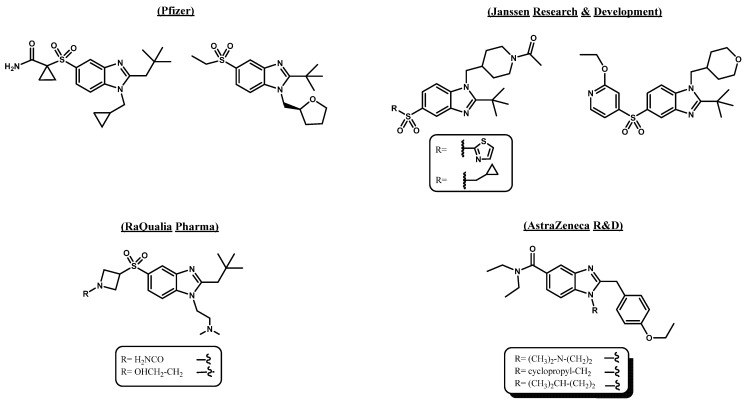 Cannabinoid ligands selective for the CB2 receptor containing the benzo [d]imidazole nucleus as the main core.