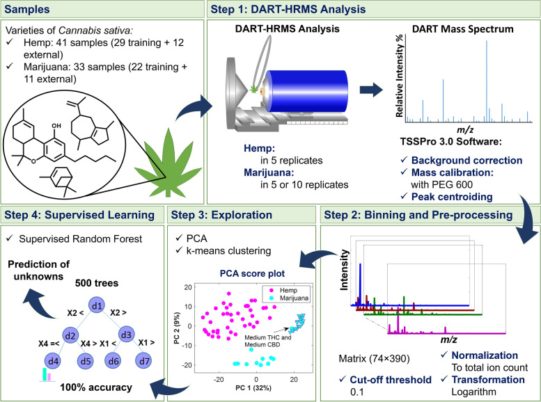 Workflow for discrimination of hemp and marijuana samples