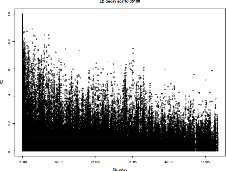 Estimation of the linkage disequilibrium (LD) decay of the largest scaffold (scaffold5190; 565.9 kbp) covered with single nucleotide polymorphism (SNP) markers. The X-axis indicates the physical distances and the Y-axis indicates the pairwise correlations (r2) between all pairs of markers from the scaffold. Red line indicates the critical value of r2.
