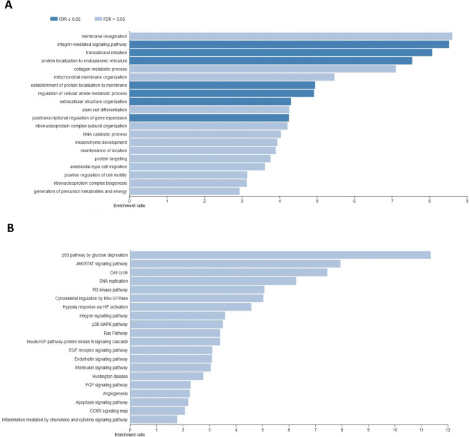 Top 20 enriched biological processes (A) and Panther pathways (B) (ORA) by genes affected in most of the CBD treatments in ethanol-treated cells