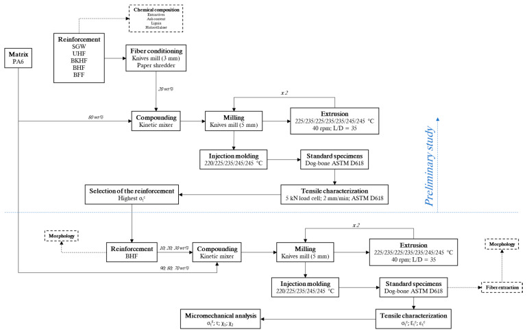 Workflow of the present study.