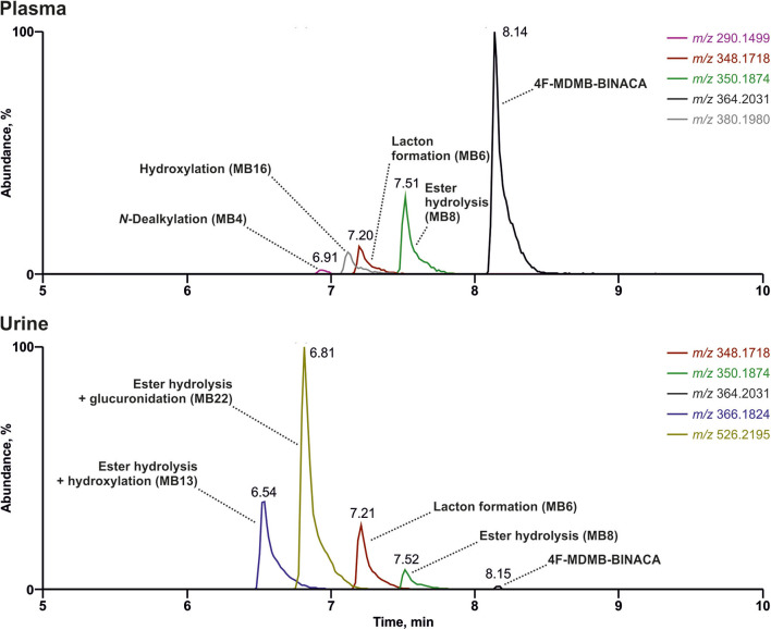 Reconstructed chromatograms of the mass-to-charge ratios of 4F-MDMB-BINACA and its metabolites in high-resolution full scan derived from an authentic human plasma and urine sample after unknown dose and time point of 4F-MDMB-BINACA intake. Colored figure may be viewed online.