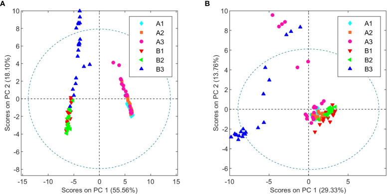 PCA score plots of organic (A) and aqueous (B) extracts from chemovars A and B colored according to harvest.
