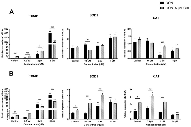 Effects of CBD on DON-induced oxidative stress-related gene expression in growing and differentiated IPEC-J2 cells. (A) Relative mRNA expression levels of TXNIP, SOD1, and CAT in growing IPEC-J2 cells treated with DON (0.5, 2, and 8 μM) alone or pre-treated with 5 μM CBD. (B) Relative mRNA expression levels of TXNIP, SOD1, and CAT in differentiated IPEC-J2 cells treated with DON (0.5, 5, and 50 μM) alone or pre-treated with 5 μM CBD. Data are presented as mean ± SEM (n = 3). Statistical significance: * p < 0.05, ** p < 0.01, *** p < 0.001 compared to the control in the same treatment; # p < 0.05, ## p < 0.01, ### p < 0.001 between different treatments at the same DON concentration.