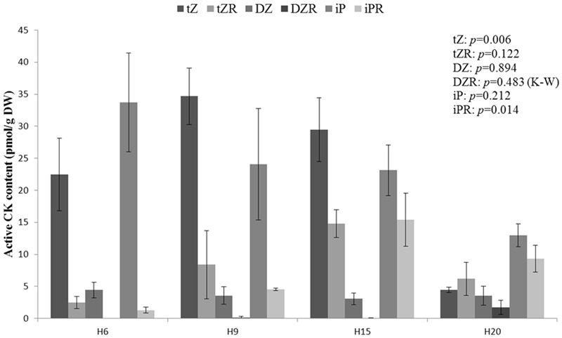 Endogenous bioactive cytokinin levels in hemp hypocotyls at H6, H9, H15, and H20. tZ, trans-zeatin; tZR, trans-zeatin riboside; DZ, dihydrozeatin; DZR, dihydrozeatin riboside; iP N6-(Δ2-isopentenyl)adenine, iPR N6-(Δ2-isopentenyl)adenosine. ANOVA or Kruskal–Wallis (K–W) results are indicated depending on the normality of data distribution (Shapiro–Wilk p > 0.05 or p < 0.05, respectively). n = 3 biological replicates.
