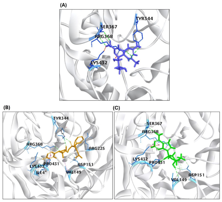 Representation of the molecular interaction of ligands in the binding sites of the structure of the NA protein. (A) Zanamivir (standard) interacted through hydrogen bonds with NA residues TYR344, ARG368, ASP151, and SER367. (B) Sofosbuvir established hydrogen bonds with NA residues TYR344, ARG368, TYR402, ARG225, LYS432, ASP151, and GLU278. (C) GS441524 interacted through hydrogen bonds with ARG368, VAL149, ASP151, SER367, PRO431 (three hydrogen bonds), and LYS432 residues of the NA protein.