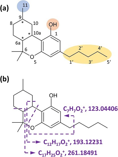 Alt text: Molecular structure of HHC. (a) Possible sites of metabolic transformation and (b) likely occurring fragmentation reactions in MS-MS experiments are highlighted. sites of metabolic transformation and (b) likely occurring fragmentation reactions in MS-MS experiments are highlighted.