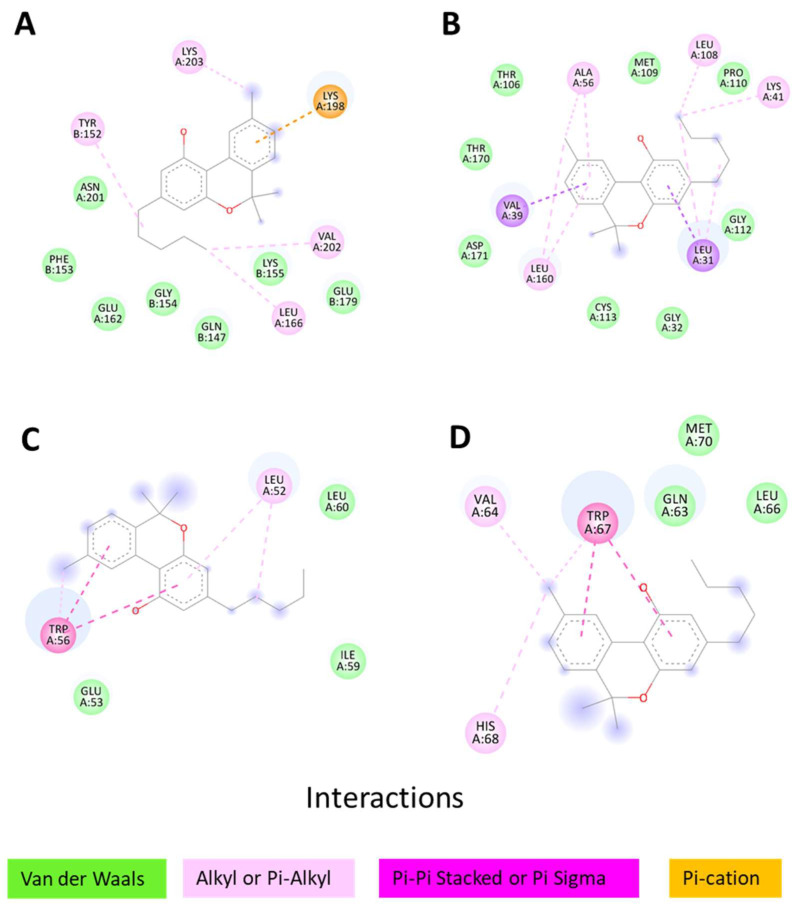 Types of bonds between proteins and cannabinol. (A) cannabinol to EGFR; (B) cannabinol to SRC; (C) cannabinol to ESR1; and (D) cannabinol to HSP90AA1.