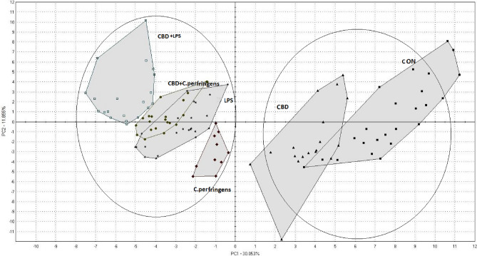PCA of volatile compounds in chicken breast meat. CON: received the basal diet over the entire period of the experiment and no challenge; CBD: received the CON diet supplemented (on top) with 30 g/kg Cannabis sativa extract; C. perfringens and LPS: received the CON diet and subjected to C. perfringens and E. coli LPS challenge, respectively; CBD + C. perfringens and CBD + LPS: received the CBD diet and subjected to C. perfringens and E. coli LPS challenge, respectively.