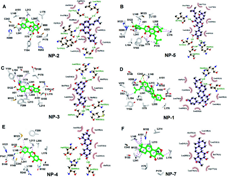 The molecular interactions of hMAGL-inhibitors. (A–F) The results of Ligplot analyses revealed the interactive networks of hMAGL-NP-1, hMAGL-NP-5, hMAGL-NP-3, hMAGL-NP-1, hMAGL-NP-4, and hMAGL-NP-7 complex structures. In panels (A–F), inhibitors were shown in ball-and-sticks (green); the active site residues were presented as white sticks. The dash lines indicate hydrogen-bond (green) and hydrophobic interactions (light-pink).