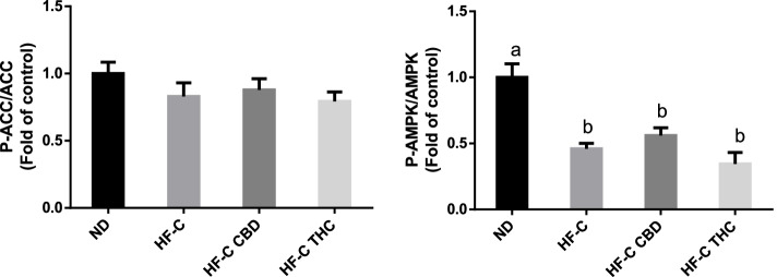 Effect of THC or CBD treatment on phosphorylation of carbohydrate and lipid metabolism-related proteins in mice fed HFCD. Male C57BL/6J mice aged 7–8 weeks were fed either normal diet (ND, n = 8), high fat + 1%(w/w) cholesterol + 0.5%(w/w) cholate diet (HF-C, n = 8), HFCD containing CBD (2.39 mg/kg) (HF-C CBD, n = 8), HFCD containing THC (2.5 mg/kg) (HF-C THC, n = 8). At the conclusion of the experiment, total protein was isolated from harvested livers and phosphorylated protein levels quantified. Values are expressed as phosphorylated/total protein ratio compared to ND ± SEM. Values marked with different letters are significantly different (p < 0.05) in the Tukey–Kramer test