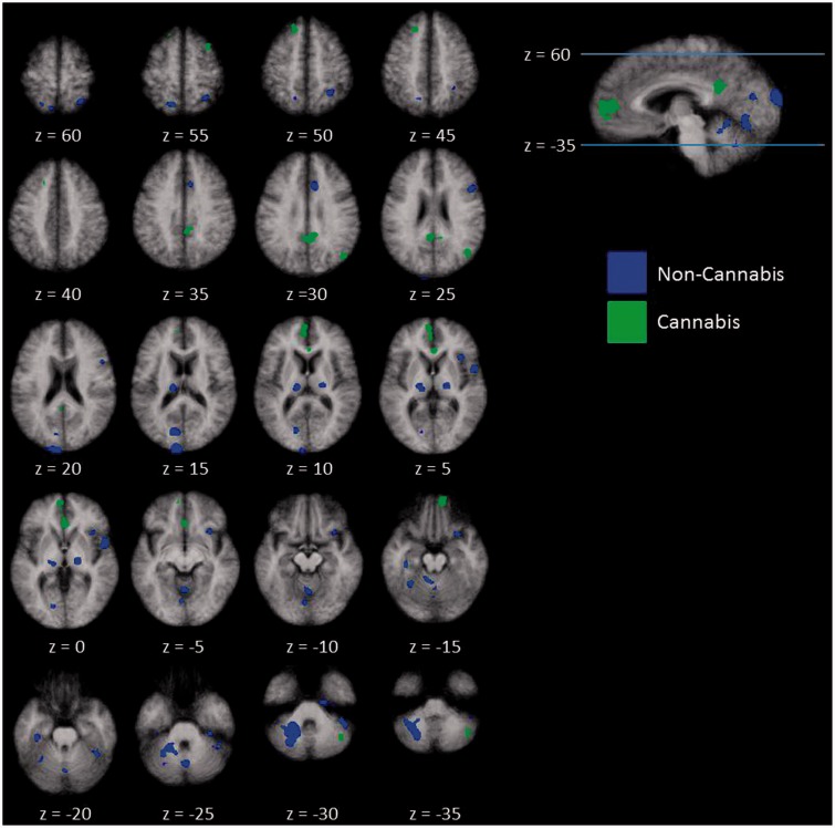 Between-group activations for the cannabis and noncannabis groups (p < 0.05).
