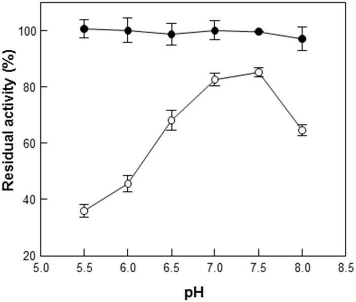 pH inactivation of GusA (open circles) and GusA-CBD (closed circles) at pH 4.5–8.0.Data represent the means of three experiments and error bars represent standard deviation. The relative activities of 100% gusA and gusA-CBD were 102 ± 4.3 and 19 ± 0.6 U mg–1, respectively.