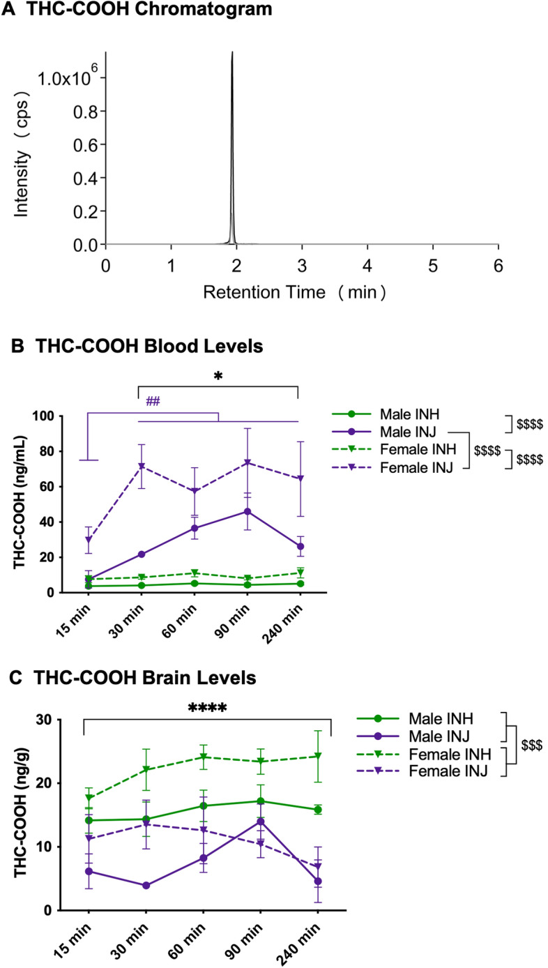 THC-COOH chromatogram and levels in blood and brain. (A) LC-MS Chromatogram: THC-COOH (black line) and THC-COOH-d3 (grey line) peaks at 2.0 min. (B) Blood levels: Data are presented as mean ± SEM; n = 5–6 for each group. Presence of (*) indicates an administration difference with INH < INJ at 30, 60, 90 and 240-min at *p < 0.05. Presence of (#) indicates a timepoint difference with purple lines indicating an INJ difference where INJ-15 < all timepoints at ##p < 0.01. Presence of ($) indicates a sex difference; specifically, male-INH < male-INJ and female-INH < female-INJ at $$$$p < 0.0001, and male-INJ < female-INJ at $$$$p < 0.0001. (C) Brain levels: Data are presented as mean ± SEM; n = 5–6 for each group. Presence of (*) indicates an administration difference with INH > INJ at ****p < 0.0001. Presence of ($) indicates a sex difference with males < females at $$$p < 0.001.