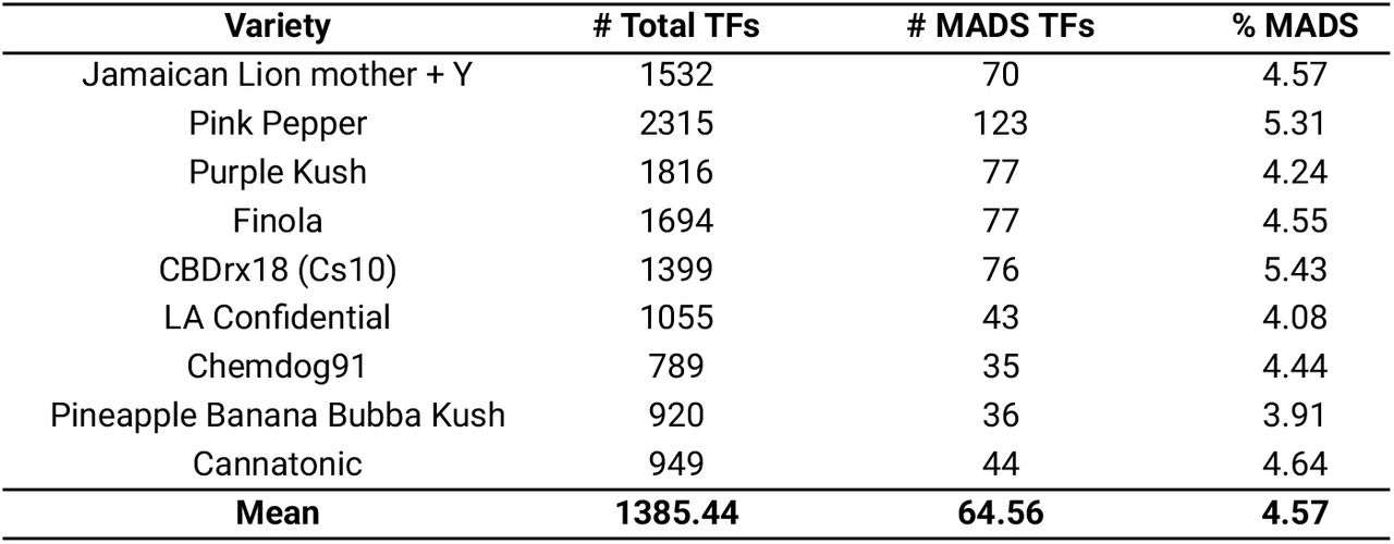 MADS-box TF distribution across nine cannabis varieties.