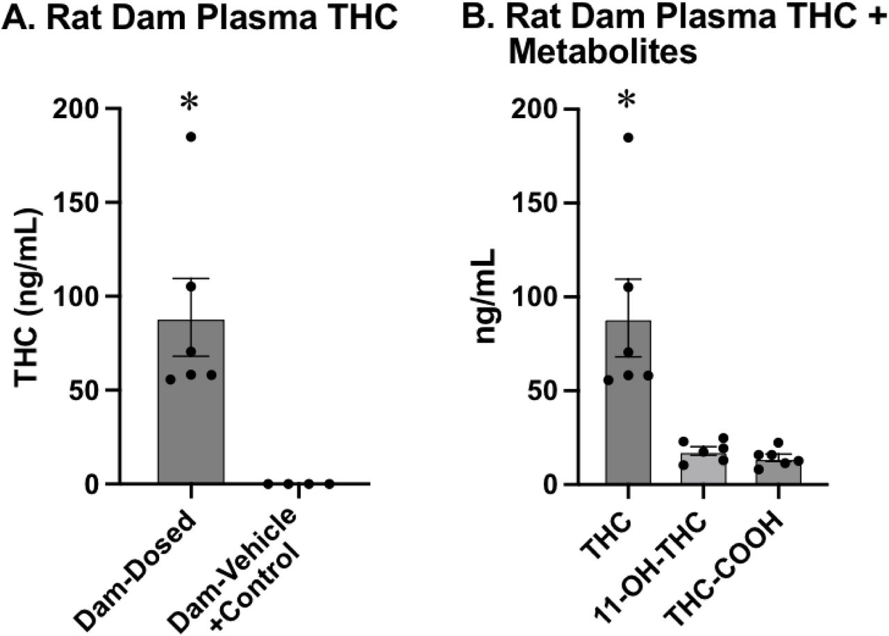 A) Concentration of THC in the plasma of dosed rat dams (left) and vehicle + control rat dams (right). The plasma of dosed rat dams contained significantly higher concentrations of THC than vehicle + control rat dams. B) THC and metabolites in the dosed rat dam plasma. THC-COOH concentration (right) and 11-OH-THC (center) are both significantly lower than THC (left). * - indicates significantly different from all other groups
