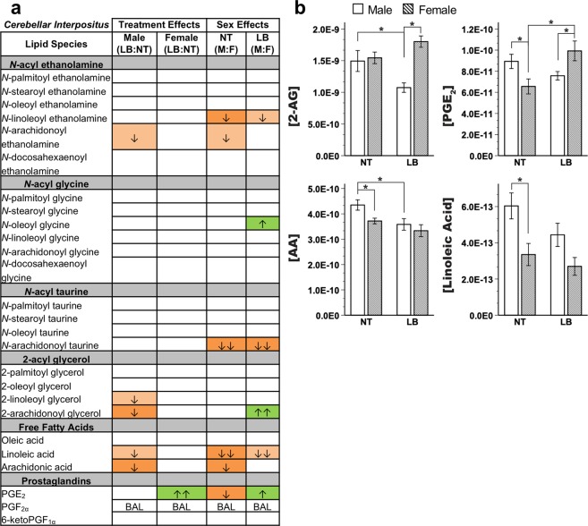 Endocannabinoid and related lipid quantification for the cerebellar interpositus (IP) region. (a) Effects for all measured lipids. Columns represent treatment and sex-specific effects, showing changes to the limited bedding group in relation to the no treatment group (LB:NT) or changes in males in relation to females (M:F). Number of arrows represents fold-change: up-arrow (green) is increase, down-arrow (orange) is decrease; ↑ = 0–0.49-fold change, ↑↑ = 0.5–0.99-fold change. Color scheme represents significance, with full colors indicating significance at FDR corrected p < 0.05 and shaded colors indicating a trending significance. BAL = below analytical limits. (b) Specific effects on lipids of interest. Y-axis indicates concentration of lipid of interest while x-axis represents limited bedding (LB) and no treatment (NT) groups. *LSD-corrected p < 0.05.