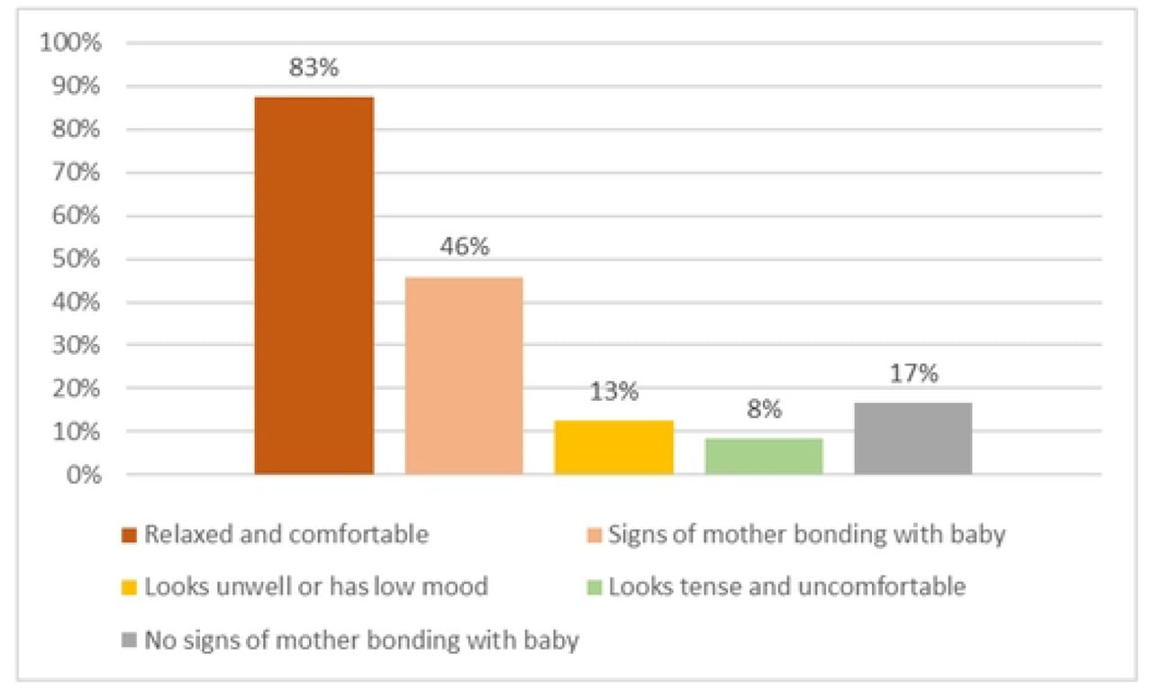 Exploration of maternal well-being