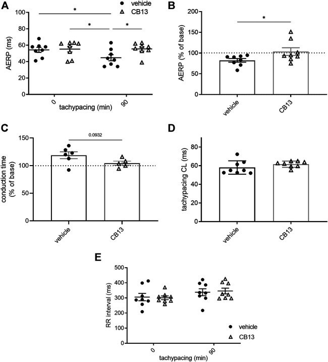 CB13-treatment inhibited tachypacing-induced atrial electrical remodeling. (A) AERP before and after 90 min of atrial tachypacing; (B) Scatter plot demonstrating the effect of atrial tachypacing on the AERP represented as % of baseline value in each experiment. CB13 treatment prevented reduction in AERP following tachypacing. (C) Conduction time analysis demonstrated a trend of lengthening in vehicle treated tachypaced hearts relative to the CB13 treated hearts. (D) Average pacing CL over the 90 min of atrial tachypacing. The CL was adjusted continuously and maintained 5 ms above the minimal CL to maintain 1:1 atrial capture. Note no difference between the CB13 group and vehicle group in this regard. (E) Spontaneous RR interval measured before and after 90 min of atrial tachypacing in both groups. Note a mild tendency of RR interval prolongation which reached significance in the CB13 group only. n = 5–8 for each group. Data are presented as mean ± SEM. *p ≤ 0.05. CL, cycle length; AERP, atrial effective refractory period. Based on the normality test statistical significance was determined using two-way ANOVA with Newman-Keuls test for multiple comparisons (A,E), Mann-Whitney test (B).