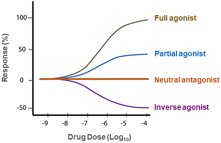 Concepts of neutral antagonist vs. inverse agonist. A full agonist (such as WIN55,212-2 or CP55,940) binds to and activates a receptor, producing maximal (100%) biological effects. A partial agonist (such as Δ9-THC) produces an effect that is less than a full agonist. An inverse agonist (such as rimonabant in the absence of CB1 receptor agonist) binds to the same receptor as an agonist but produces a biological effect opposite to that of an agonist. A neutral antagonist (such as AM4113 or PIMSR) binds to a receptor and blocks agonist binding to the same receptor, while itself does not produce any effect in the absence of an agonist. At basal conditions, a receptor has intrinsic activity or is under a balance between active and inactive states in the absence of endogenous ligands. An agonist increases the activity of a receptor above its basal level, whereas an inverse agonist decreases the activity below the basal level.