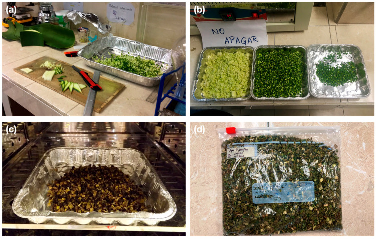 Bioaggregate preparation procedure. (a) Manual fiber cutting; (b) Separation of parts; (c) Oven drying; (d) Fiber storage.