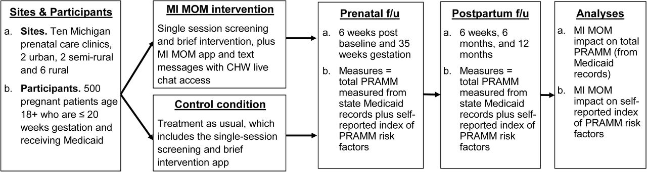MI MOM trial overview.