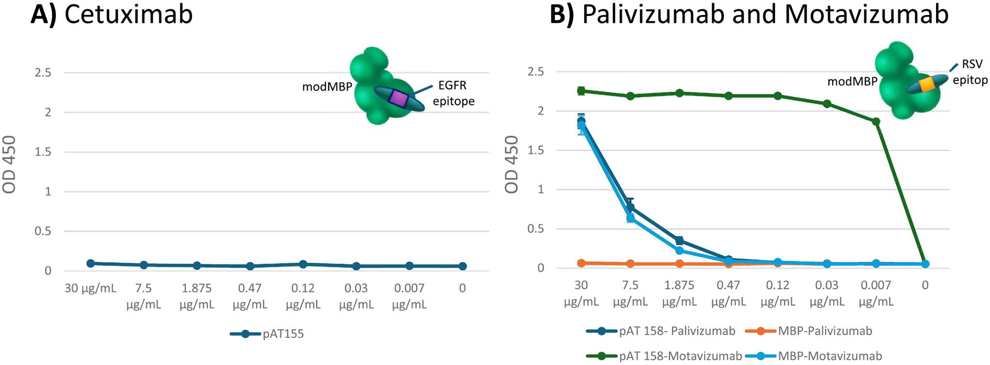 Testing therapeutic Abs with Sundae surrogate antigens. A) Cetuximab, a therapeutic monoclonal antibody that binds EGFR, was tested in ELISA for binding to its corresponding Sundae protein pAT155; no binding was detected. B) Palivizumab and Motavizumab, monoclonal antibodies that bind the F protein from RSV, were tested in ELISA for binding to their corresponding Sundae protein pAT158. Both Abs show binding with Motavizumab binding much stronger than Palivizumab. Binding to the MBP negative control is much weaker. Error bars show standard deviation.