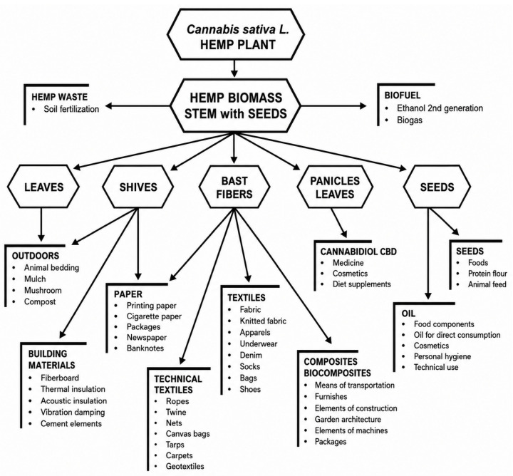 Modern uses of industrial hemp plant raw material, (CC BY 4.0) [60].