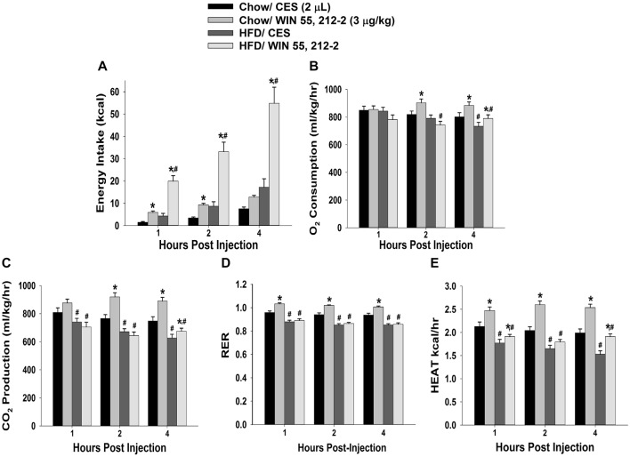 High-fat diet (HFD) potentiates cannabinoid-induced changes in energy intake and but not energy expenditure, in male guinea pigs. Bars represent means and vertical lines 1 SEM of the cumulative energy intake (A), O2 consumption (B), CO2 production (C), respiratory exchange ratio (RER; D) and metabolic heat production (E), which were measured 1, 2 and 4 h after administration of the cannabinoid receptor agonist WIN 55,212-2 (3 μg; I.3.V) or its cremephor/ethanol/0.9% saline (CES) vehicle (2 μL; I.3.V). *P < 0.05 relative to CES treated animals; multifactorial analysis of variance (ANOVA)/least significant difference (LSD); n = 5. #P < 0.05 relative to chow-fed animals; repeated measures, multifactorial ANOVA/LSD; n = 5.