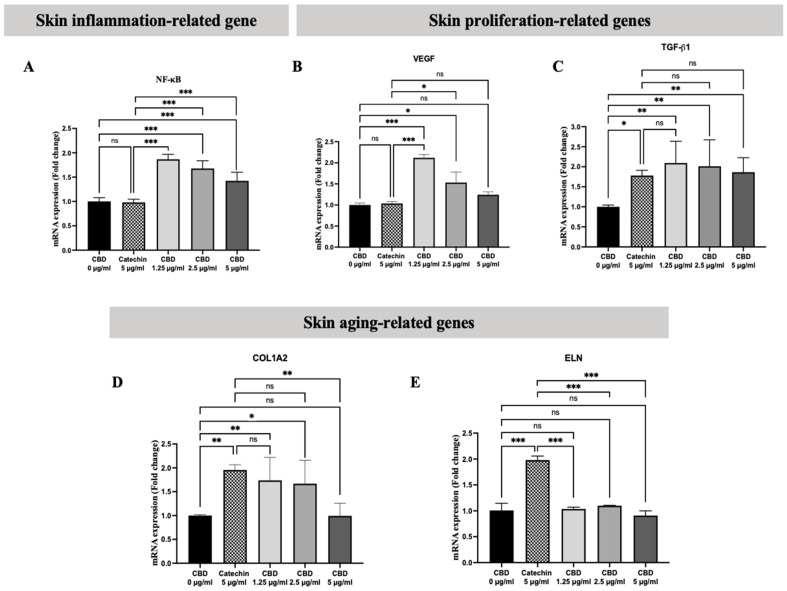 The mRNA expression of inflammation-related gene (A) NF-κB, proliferation-related genes (B) VEGF and (C) TGFB1, and skin aging-related genes (D) COL1A2 and (E) ELN after being treated with CBD in fibroblasts. The data are presented as the mean ± and standard deviation (±SD) from three independent experiments (n = 3). Statistical significance was determined by a one-way ANOVA (non-significant; ns, significant; * p < 0.05, ** p < 0.01, and *** p < 0.001 vs. control (CBD 0 µg/mL) and positive control (catechin 5 µg/mL)).