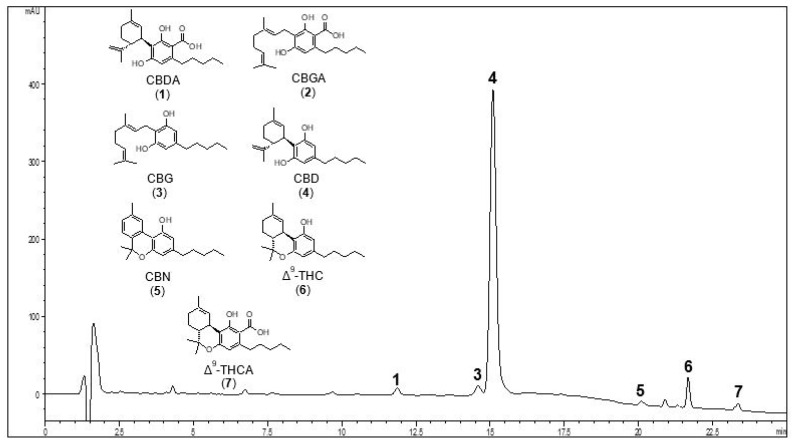 Representative HPLC-UV chromatogram of hemp oil 2 (K2) recorded at 210 nm. The peaks of the main neutral and acid cannabinoids are shown. For peak identification, see Table 2. The chemical structures of the compounds selected for quantitative analysis are shown in the slot on the left.