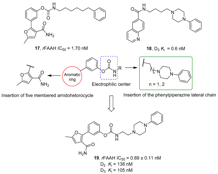 Representation of rational development of hybrid FAAH/dopamine receptor ligands 19, starting from FAAH inhibitor 17 and the multitarget compound 18.