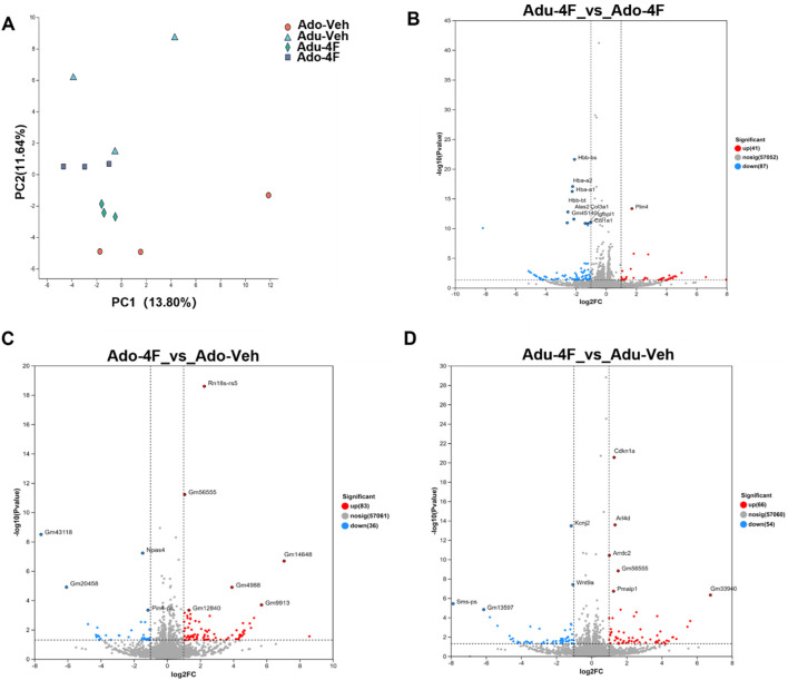 Panel A shows a PCA plot with four types of samples: Ado-Veh (red circles), Adu-Veh (green diamonds), Adu-4F (blue triangles), and Ado-4F (purple squares) indicating variance on PC1 and PC2. Panels B, C, and D display volcano plots for comparisons between Ado-4F vs Ado-4F, Ado-4F vs Ado-Veh, and Adu-4F vs Adu-Veh, respectively, showing differentially expressed genes. Upregulated genes are marked in red, downregulated in blue, and non-significant in gray.